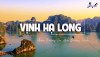 Dịch vụ tour Hà Nội – Hạ Long 2 ngày 1 đêm mang lại những trải nghiệm thú vị (4)