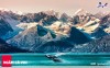 Du lịch Ngắm cá voi Alaska ngắm nhìn những điều tuyệt vời