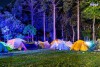 Trải nghiệm Dịch vụ tour camping tại rừng quốc gia Nam Cát Tiên Trọn Vẹn