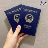 Nhanh chóng chuyên nghiệp với Dịch vụ Tư vấn và làm thủ tục visa tại tỉnh Vĩnh Yên Vĩnh Phúc (2)