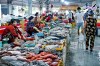 Top 10 Địa chỉ bán hải sản tươi sống chất lượng nhất Đắk Lắk được đánh giá cao