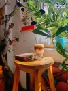 Top 10 Quán cà phê yên tĩnh, thích hợp tự học Khánh Hòa thư giãn