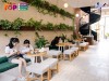 Top 10 Quán cafe đẹp nhất Nghệ An có không giang rộng rãi thoáng mát