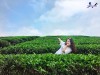Top 12 Danh lam thắng cảnh đẹp nhất tại Thái Nguyên để bạn thỏa sức khám phá