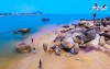 Top 15 Địa điểm đi chơi cuối tuần tại Hà Tĩnh làm say lòng du khách