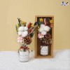 Top 5 Shop quà lưu niệm độc đáo nhất Ninh Bình đáng tin cậy (2)