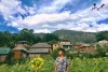 Top 7 Danh lam thắng cảnh đẹp nhất tại Lào Cai cần chúng ta khám phá