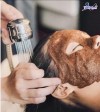 Top 7 Địa chỉ massage thư giãn tại Đồng Nai đáp ứng mọi nhu cầu của khách (3)