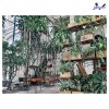 Top 8 Quán cafe đẹp nhất Khánh Hòa tận hưởng không chỉ cà phê ngon mà còn những góc sống ảo tuyệt vời