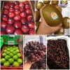 Top 9 Địa chỉ bán trái cây nhập khẩu chất lượng Đắk Lắk giá thành tốt