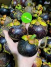 Top 9 Địa chỉ bán trái cây nhập khẩu chất lượng Khánh Hòa cực tươi ngon