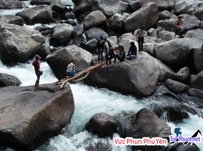 cầu khỉ Vực Phun Phú Yên