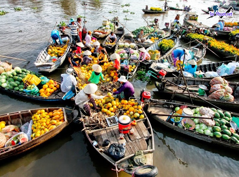 Cẩm Nang Kinh Nghiệm Du Lịch Thành phố Cần Thơ (1)