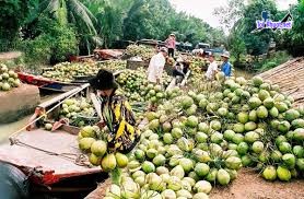 Đi Đâu Ăn Gì Ở Đâu Kinh Nghiệm du lịch Bến Tre (3)