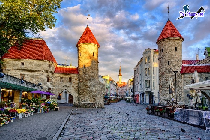 Khám phá Du lịch Estonia đất nước nhỏ bé vùng Bắc Âu dễ dàng (6)