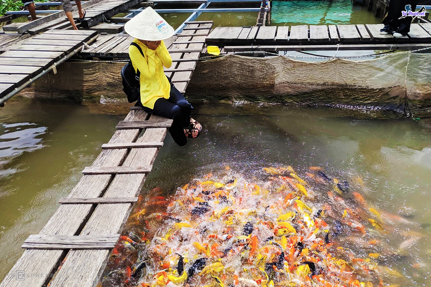 Kinh Nghiệm Du Lịch Cần Thơ điểm đến nổi tiếng thủ phủ miền Tây (3)