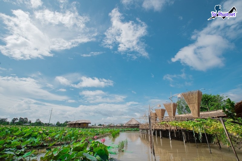 Kinh Nghiệm Du Lịch Cao Lãnh Đồng Tháp vùng đất sở hữu vẻ đẹp của đồng nội xanh rì (2)