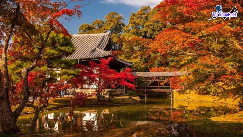 Kinh nghiệm du lịch Kyoto Nhật Bản Hiện Thân Của Nhật Bản Xưa (3)