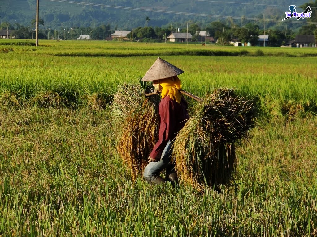 Kinh Nghiệm Du Lịch Yên Bái giúp bạn có chuyến đi vui vẻ cùng gia đình (5)