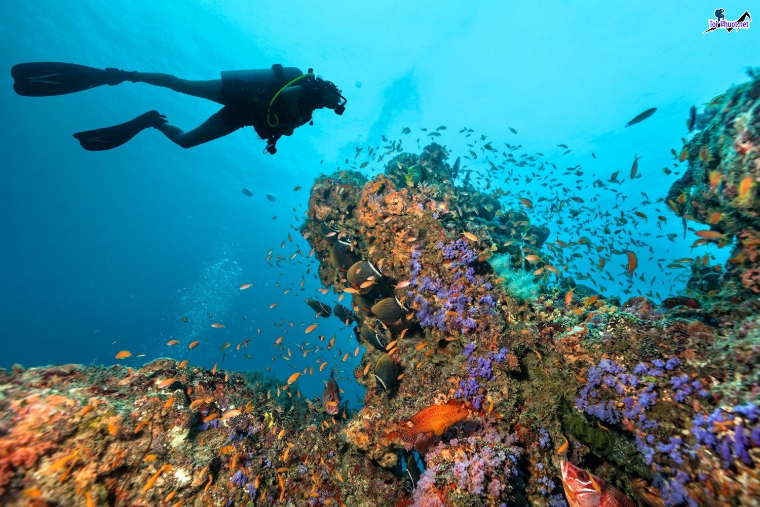 Mùa hè thiền đường ở Biển Maldives xanh ngọc cùng những bãi cát trắng mịn (3)