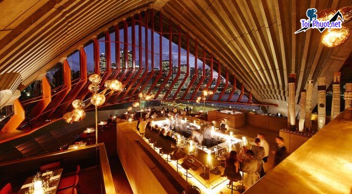 Thành phố Sydney Opera House kiến trúc nổi bật bậc nhất của Úc (4)