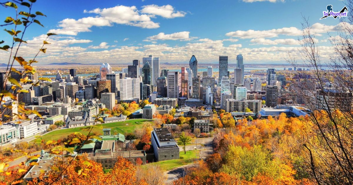 Tìm hiểu Thành phố Montreal Canada mọi điều cơ bản bạn cần biết (3)