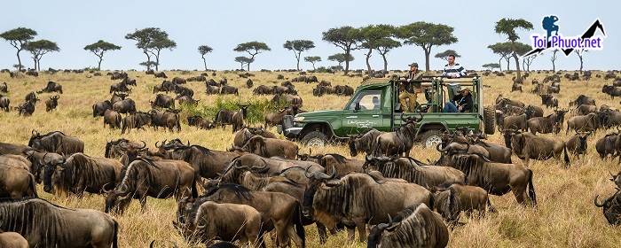 Top 8 trải nghiệm đáng nhớ Safari Kenya bạn không nên bỏ qua (1)