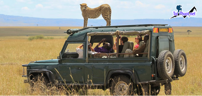 Top 8 trải nghiệm đáng nhớ Safari Kenya bạn không nên bỏ qua (2)