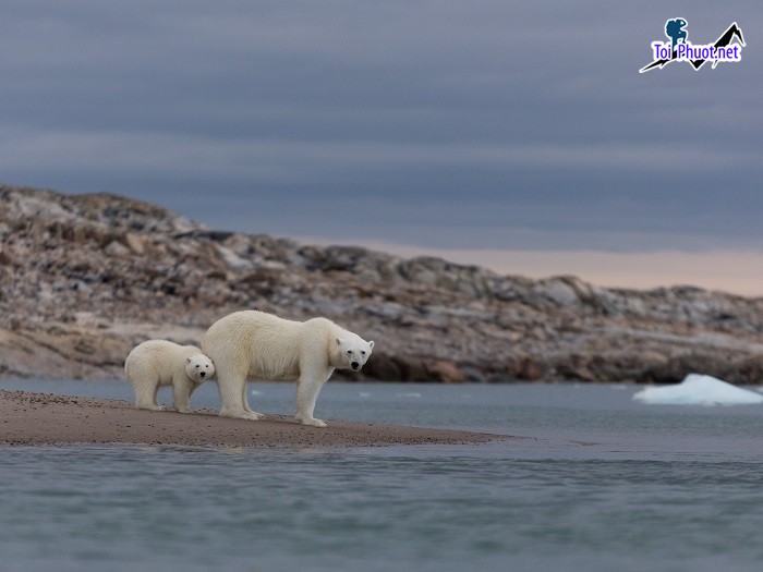 Trải nghiệm Bắc Cực ngoạn mục trên quần đảo Svalbard Na Uy (3)