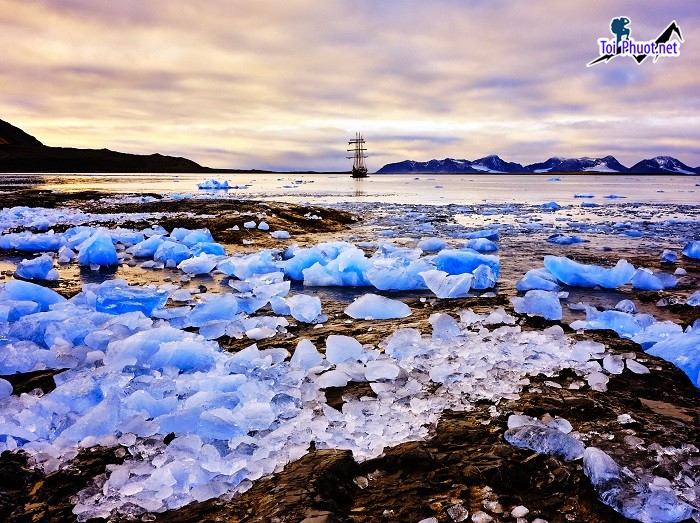 Trải nghiệm Bắc Cực ngoạn mục trên quần đảo Svalbard Na Uy (7)