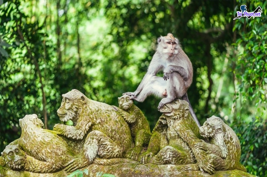 10 Trải nghiệm văn hóa Hindu Bali chứa nhiều bí ẩn thu hút du khách khám phá (4)