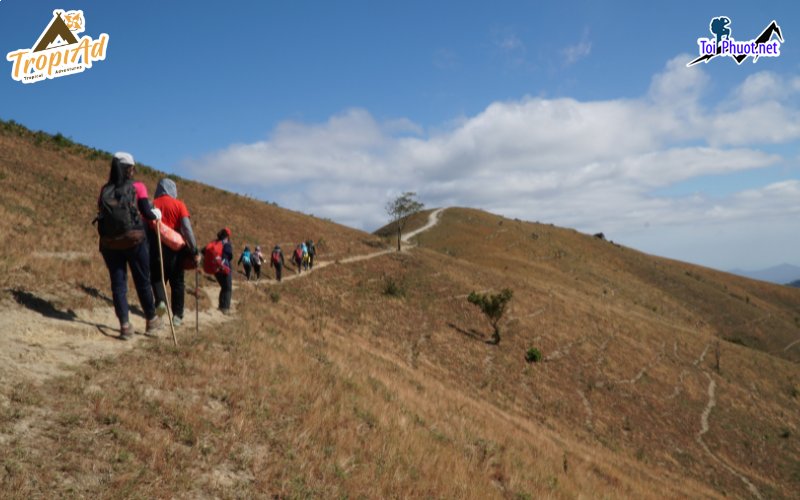 4 Dịch vụ tour trekking leo núi doanh nghiệp miền Nam không thể bỏ qua (4)