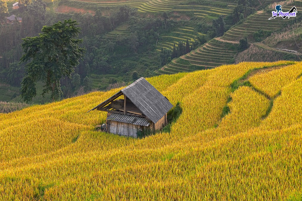 8 cung đường Du lịch đi bộ dài ngày khám phá thiên nhiên tuyệt vời nhất (2)