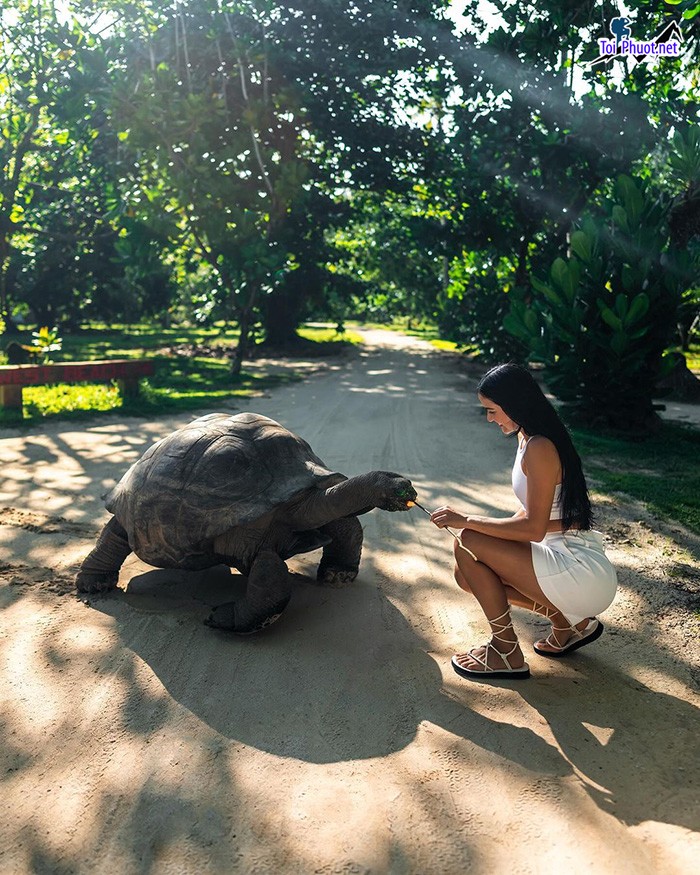 Cẩm nang Đảo Seychelles thiên đường nhiệt đới Quần đảo thiên đường trên Ấn Độ Dương (6)