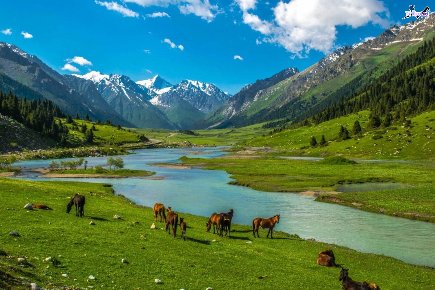 Chi tiết Du lịch Kyrgyzstan tự túc chi tiết nhất dành cho tín đồ mê du lịch (3)