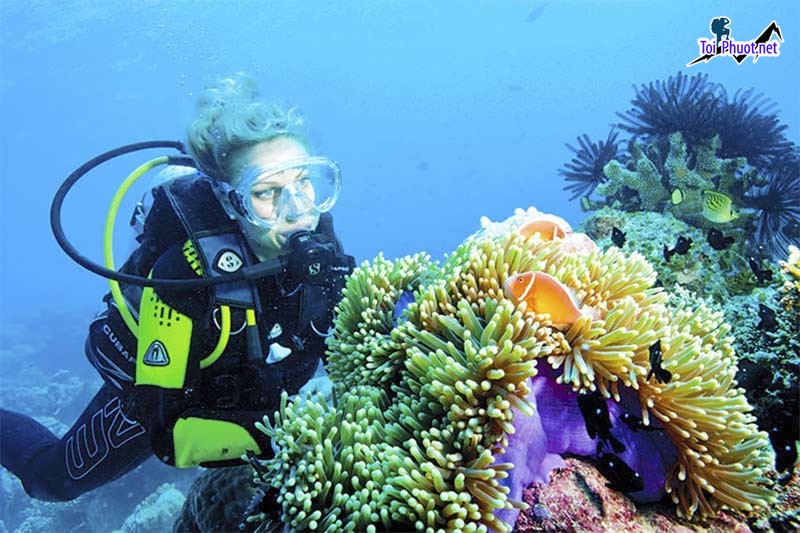 Cùng thám hiểm Lặn biển Maldives đảo san hô thiên đường nhiệt đới ẩn mình giữa lòng Ấn Độ Dương (2)