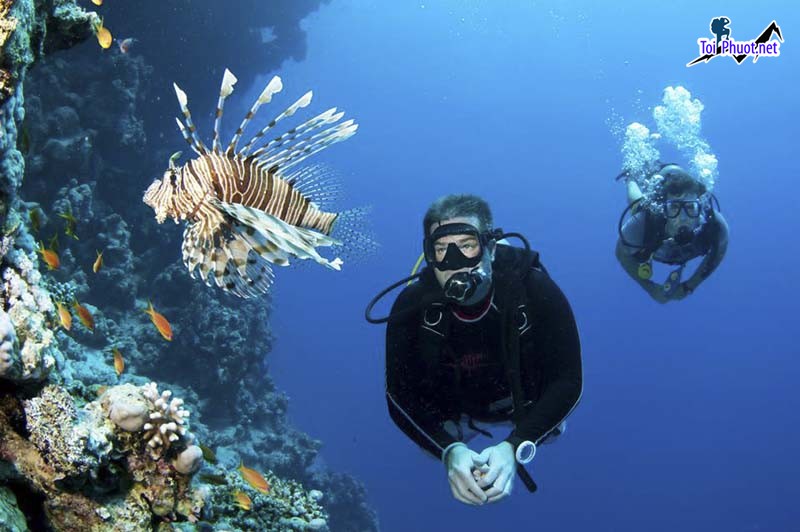 Cùng thám hiểm Lặn biển Maldives đảo san hô thiên đường nhiệt đới ẩn mình giữa lòng Ấn Độ Dương (3)