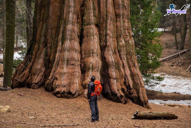 Đi bộ đường dài Yosemite Mỹ vẻ đẹp tráng lệ của công viên quốc gia Mỹ (5)