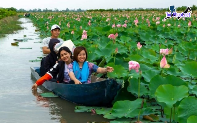 Dịch vụ đặt tour ngắm sen Đồng Tháp Sở hữu cảnh sắc tuyệt đẹp của hương đồng gió nội (1)