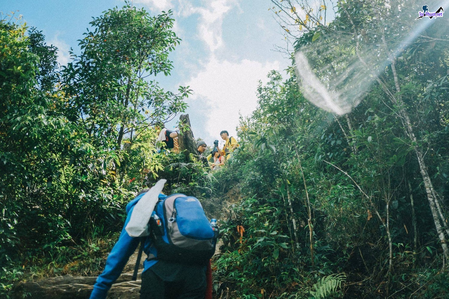 Dịch vụ đặt tour trekking núi Fansipan chinh phục nóc nhà Đông Dương (4)