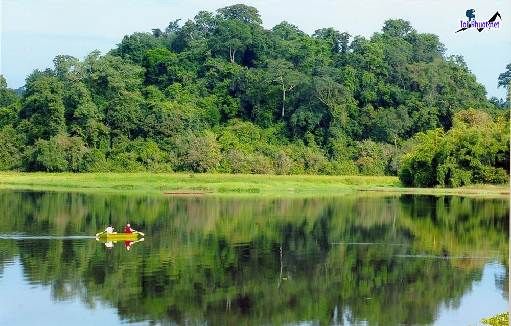 Dịch vụ đặt vé tham quan vườn quốc gia tận hưởng những âm thanh chân thật của núi rừng Phước Bình