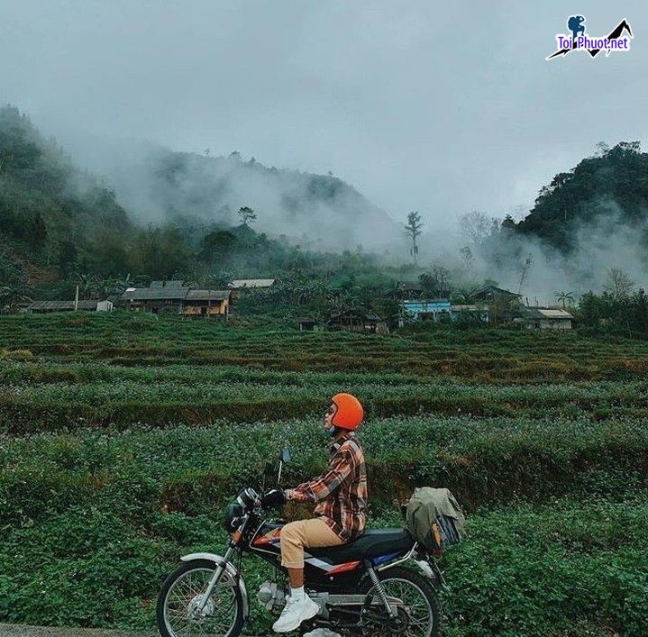 Dịch vụ săn ảnh hoa tam giác mạch Hà Giang thu hút đông đảo khách du lịch (5)