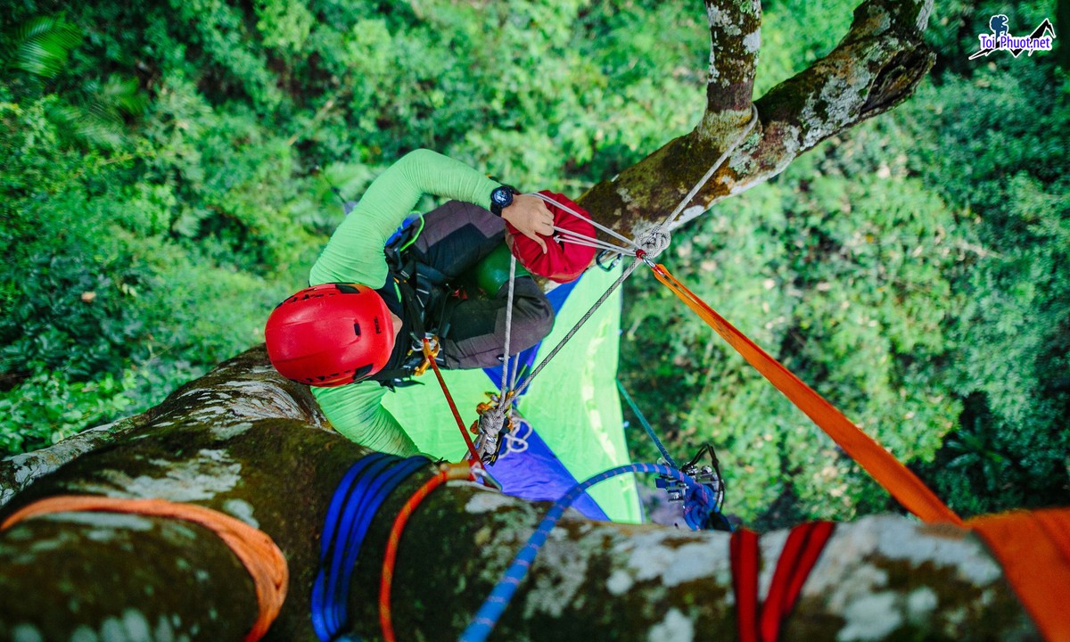 Dịch vụ thư giãn trên võng trong rừng tự nhiên trải nghiệm thú vị cho người thích mạo hiểm (1)