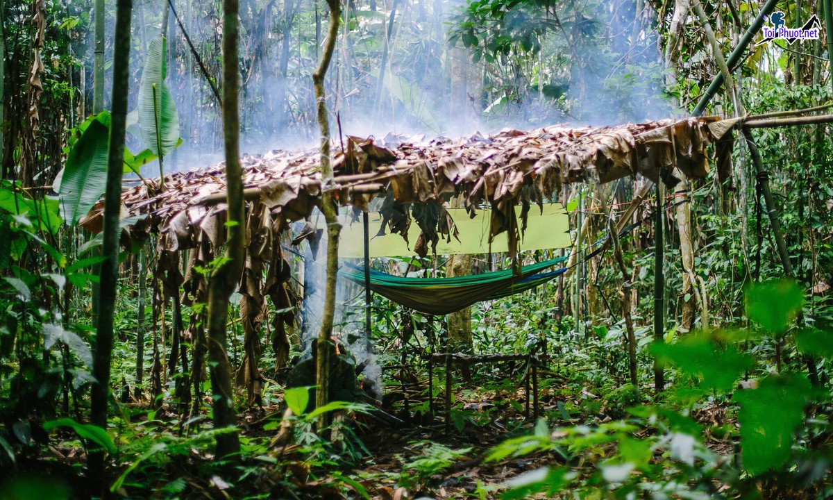 Dịch vụ thư giãn trên võng trong rừng tự nhiên trải nghiệm thú vị cho người thích mạo hiểm (2)