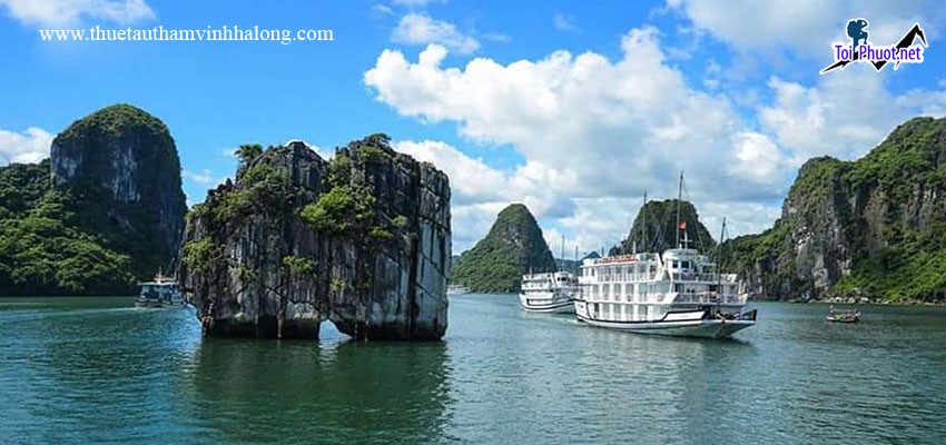 Dịch vụ thuê tàu du lịch biển dài ngày thăm biển Vịnh Hạ Long (3)