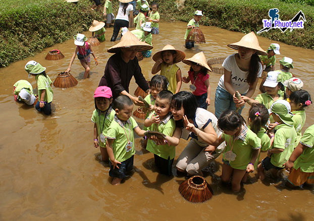 Dịch vụ tour dã ngoại cho trẻ em Giá Rẻ Kinh Nghiệm Du Lịch Dã Ngoại 2025 (1)