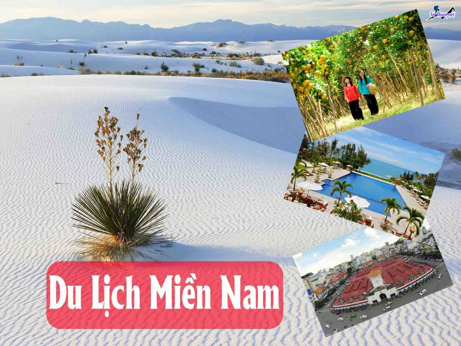 Dịch vụ tour miền Nam khám phá trải nghiệm thú vị và những kỷ niệm đẹp khó phai (1)