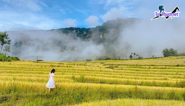 Dịch vụ tour Sapa săn mây hấp dẫn từ cảnh quan đất trời vùng đất phía Tây Bắc (2)