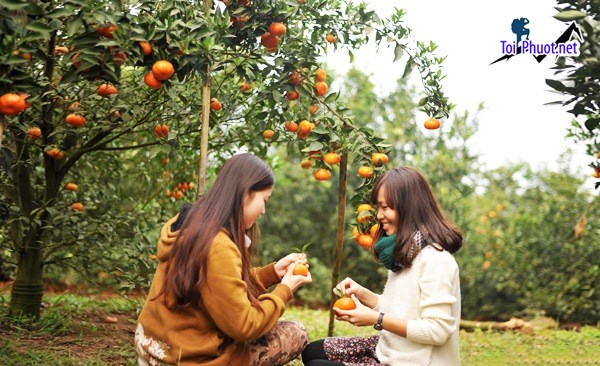 Dịch vụ trải nghiệm làm nông dân tại miền Tây giúp bạn có 1 ngày trải nghiệm vui vẻ (2)