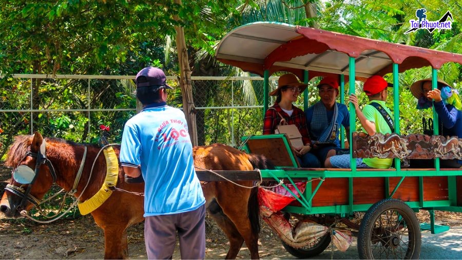 Dịch vụ trải nghiệm ngồi xe ngựa tại miền Tây để lại trong bạn ấn tượng khó phai nhạt (4)